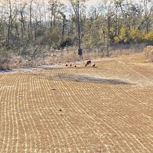 Meet your Posher, Will